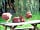 Island Meadow Caravan Park (фото добавлено менеджером 21.11.2012)