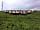 Combas Farm: Waiting for dinner