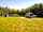South Penquite Farm (foto tilføjet af  15.08.2022)
