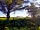 Rhos Y Foel: What a view to wake up to!