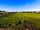 Law Farm Campsite: Camping field