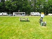 The site The site