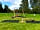 Hales Hill Park: Playground