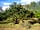 Green Haven Camping: Hay scythed in the apple orchard (photo added by manager on 27/01/2015)