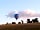 Brocklands Farm: Hot air balloon over the site