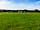 Snooty Fox: Grass pitches