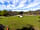 Denny Wood: Grass pitches