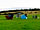 Waggoners Campsite at Hampton Estate: Campsite pitches
