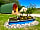 Harbour Lights Campsite: Something the tide left behind