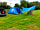 Camping at The Hollies