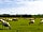 Orchard View Farm: A working farm (photo added by manager on 27/07/2020)