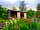 Morphpod at Brandy House Farm: Flowers blooming in the garden
