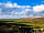 Primrose Cottage Camping
