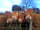 Pentre Du Camping Club