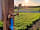 Ash Keys Caravan Park: Taps at each pitch