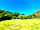 Horwood Farm Camping: The stunning view