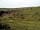 Beltonville Farm: View of the dales
