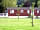 Shaftesbury on the Green Luxury Lodges: Lupin Lodge