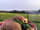 Rosebud Ranch: Alpacas out in the moonlight. Firepit/BBQ facilities and utensils provided.