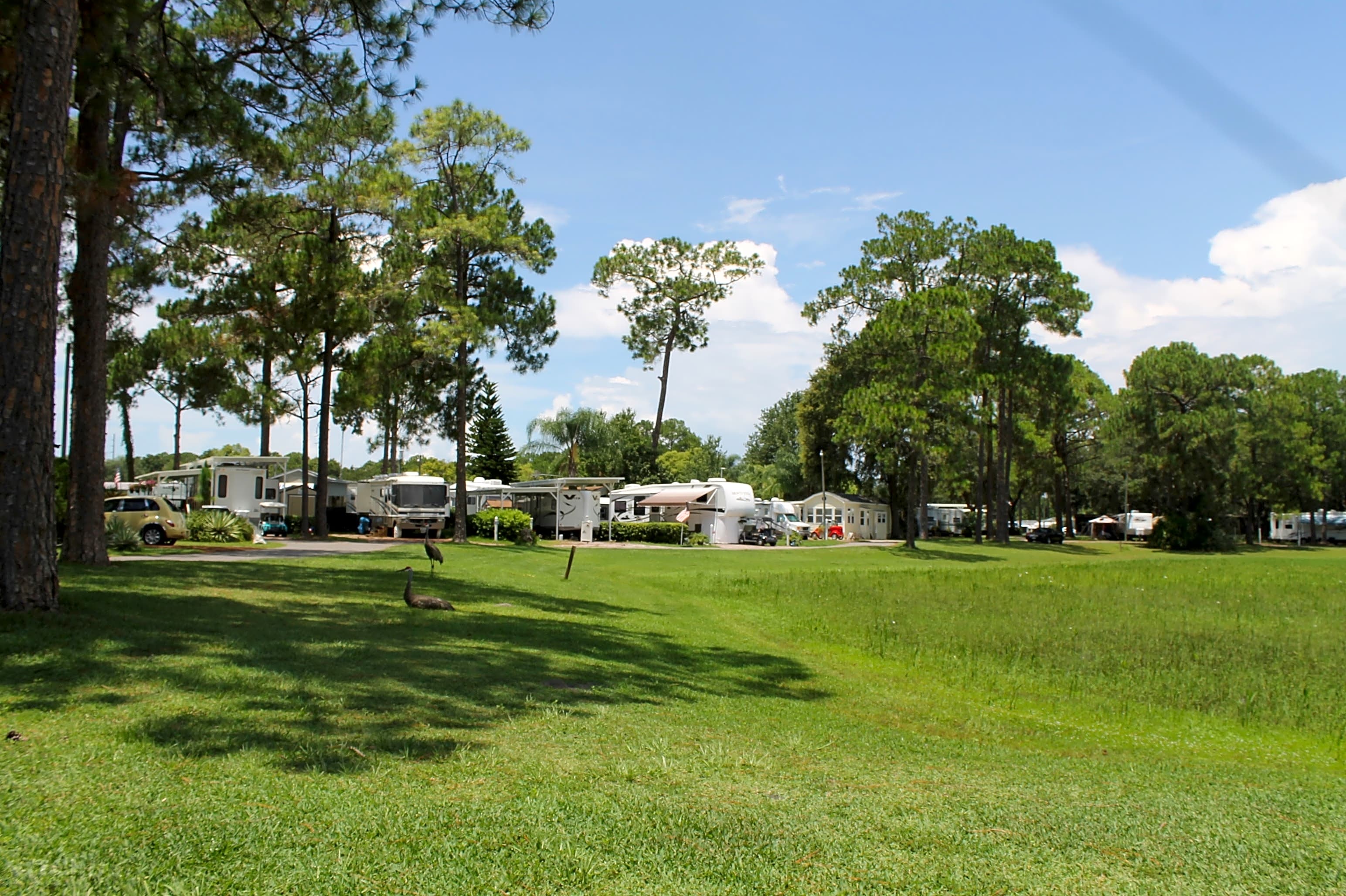 Bee's RV Resort, Clermont Pitchup®