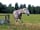 Bardwell Manor Equestrian Centre: Our neighbour!