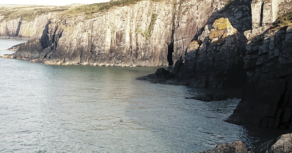 Cardigan Island Coastal Farm Park, Cardigan Pitchup®