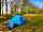 Ashcombe Woodland Campsite: Taken in winter, but a large camping area with 3m x 3m per pitch with 2m space between each