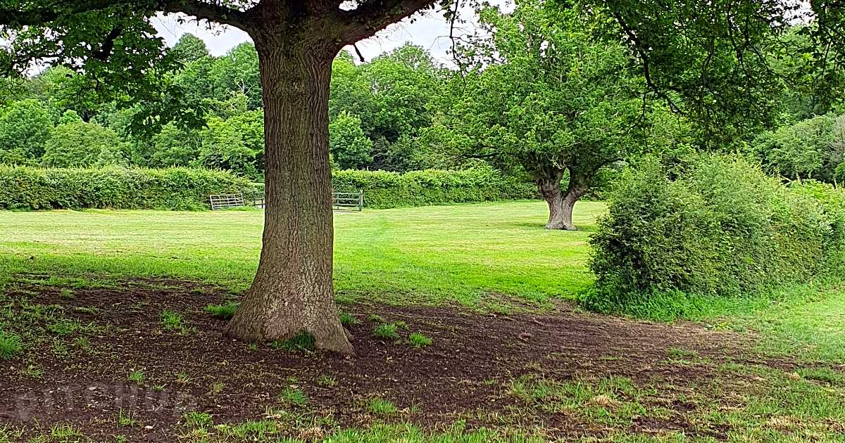 Hill Top Farm Orchard Campsite, Worcester