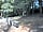 Manor Farm: Chipped tent pitch