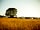 Hennock Hideaways: Camping before the meadow is cut for hay in July