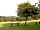 Forest Park Caravan Site: views