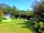 Whale Cove Campground: Shaded grass pitches