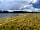 Belvoir Waters