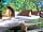 Clarion Lodge Campsite: Camping pods