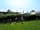 Tall Trees Touring Park: Pitches with electrical hook-up
