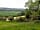 Pilton Yurt Camps: Home to an abundance of wildlife