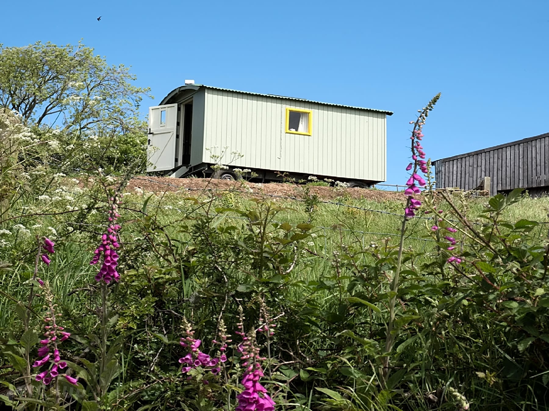 Dale Head Farm Shepherds Hut, Pickering Updated 2020 prices Pitchup®
