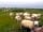 North Muasdale Farm: Sheep on the farm