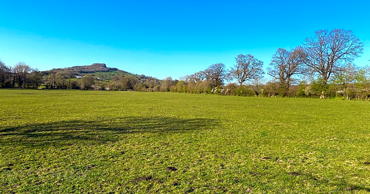 Langford Farm, Honiton Updated 2021 prices Pitchup®