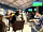 Stonham Barns Holiday Park: Sports bar and clubhouse is a short walk away (photo added by manager on 23/06/2022)