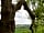 Pilton Yurt Camps: One of the many views