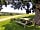 In The Orchard - Glamping at Cothill: Picnic bench on site