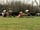 Camping Westmoor Farm: Kids welcome