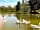 Blackbrook Lodge Camping and Caravanning: Fishing lake (photo added by manager on 05/07/2022)