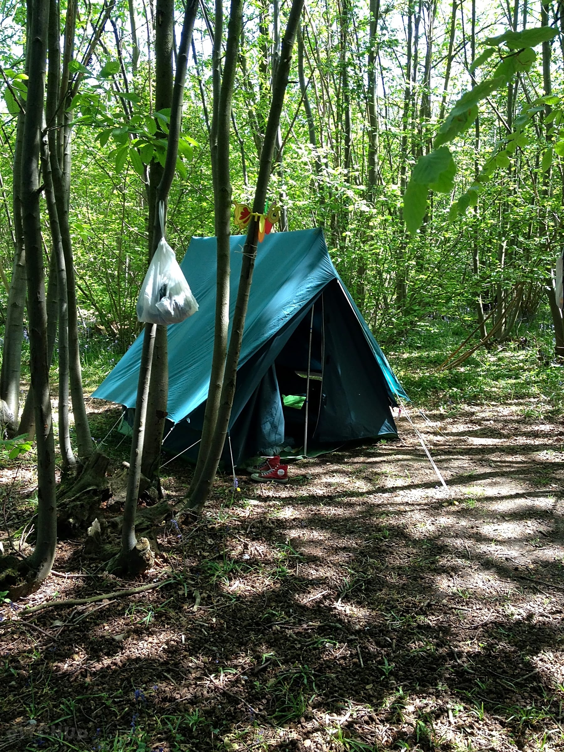 Welsummer Camping Harrietsham Pitchup