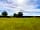 Thorncombe Farm: Visitor image of the peaceful and good size site