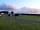 Ettie's Field