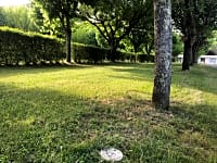 Sunny and shady spots Sunny and shady spots