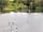 Sonnenresort Maltschacher See: Guests paddleboarding