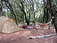 Relax among the trees Relax among the trees